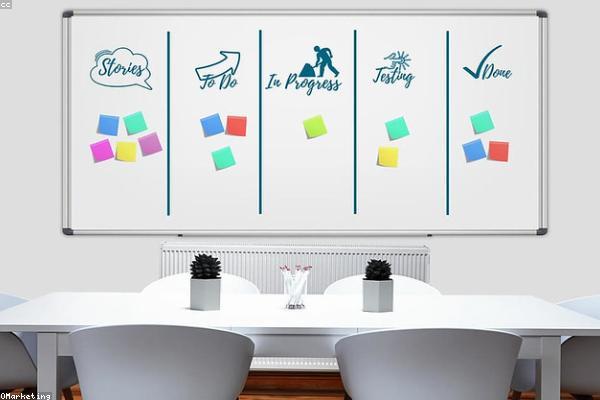 Web Design & Development